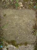 image of grave number 312656
